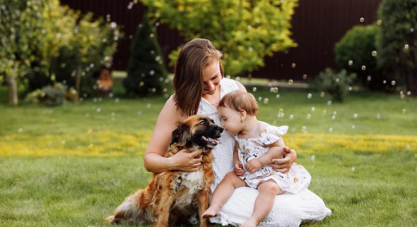 Semmit csinálni, avagy a lelkiismeret-furdalás nélküli létezés varázsa