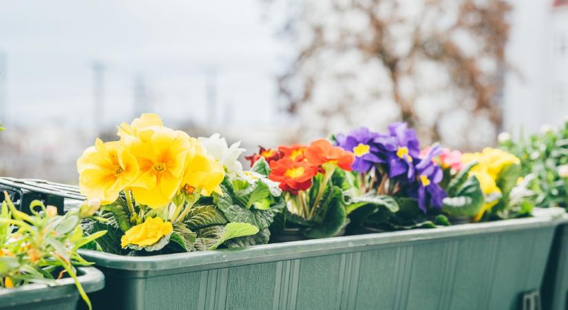 6 balkonötlet, amitől tavasz lesz az erkélyeden