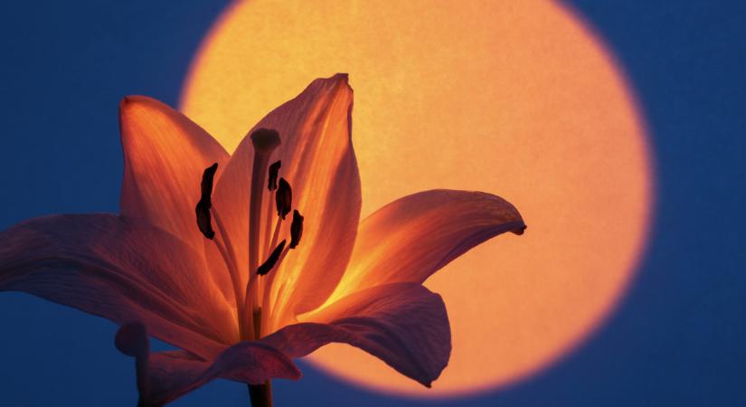 5 csillagjegy, akinek a 2026-os márciusi napéjegyenlőség gyökeresen megváltoztatja a sorsát