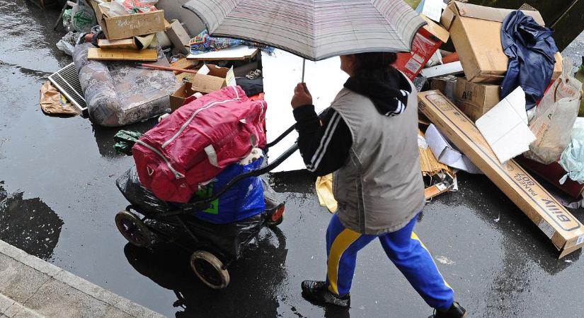 Szemétnek hiszed, pedig vagyonokat fizethetnek érte – aranybánya lapulhat a szabolcsiak pincéjében