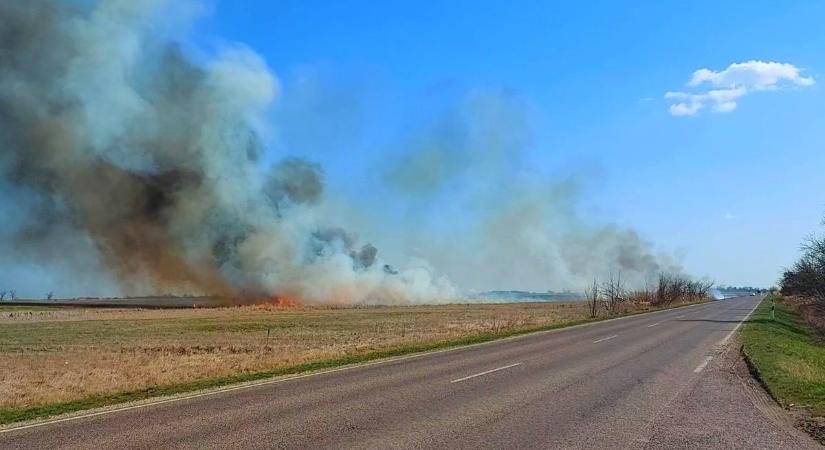 Erdőtűz, nádastűz és hatalmas károk: súlyos a helyzet Hevesben