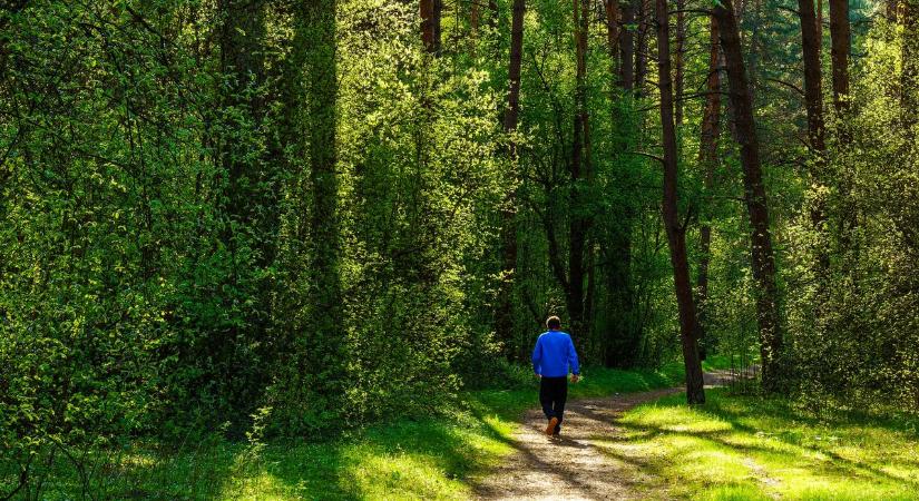 Óvatosan közlekedj az erdőben: ha vele találkozol, azt nem úszod meg könnyen