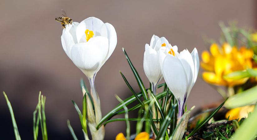Hidegörvény kavar be a hétvégébe: szombaton gyenge havazás is jöhet
