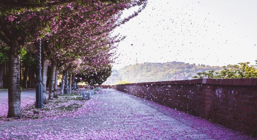 Drasztikus változás jöhet az időjárásban – már a hétvége sem lesz az igazi