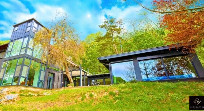 Hatvanpuszta építésze vásárolta meg a Rubik-villát