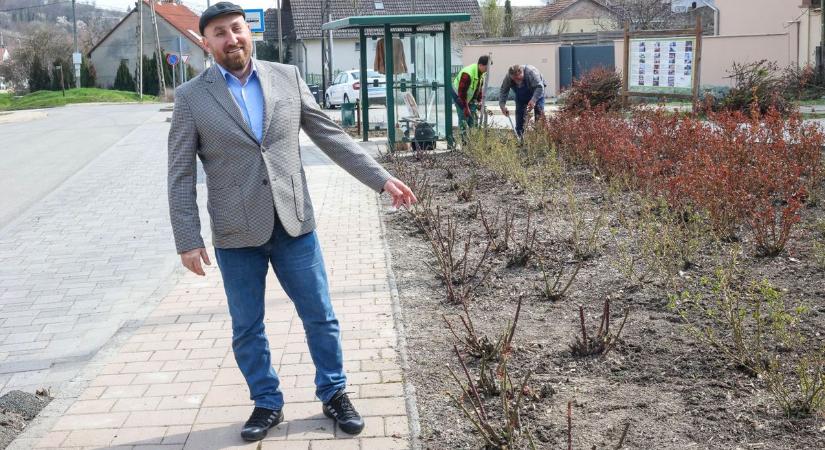 Ismét jó hírek érkeztek ebből a városrészből