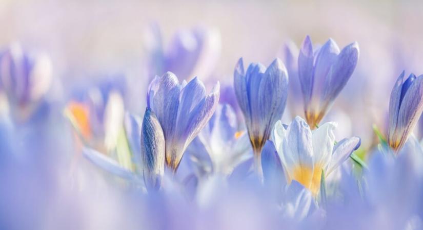 Ma van a tavaszi napéjegyenlőség