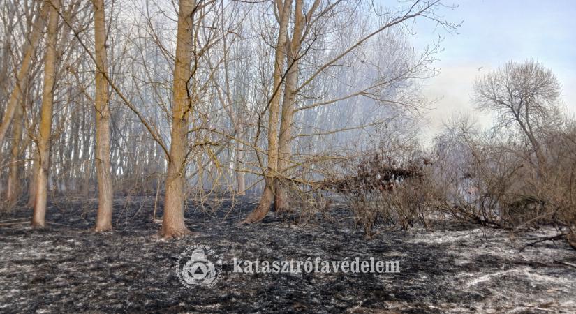 Vessünk gátat a szabadtéri tüzeknek!