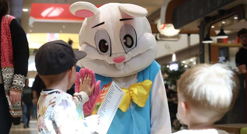 Nyuszifutam indul! Húsvéti élményekkel, programokkal készül az ÁRKÁD Győr – Kézműves- és zenés programok, nyereményjáték és rajzpályázat köszönti a tavaszt