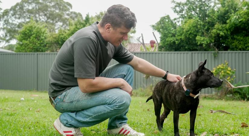 Rákos lett a kutyája, nekiállt meggyógyítani a ChatGPT-vel