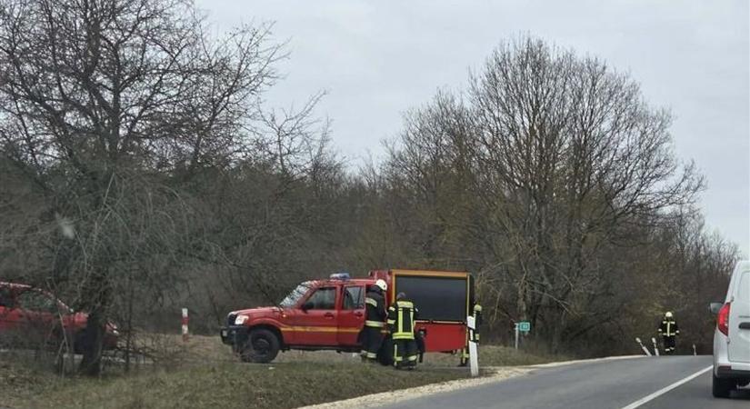 Tűzoltók rohantak a Vértesbe, még az autókat is megállították helyszíni fotók