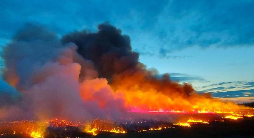 Lángokban állt a határ Hajdú-Biharban, több hektáron pusztított a tűz – fotókkal