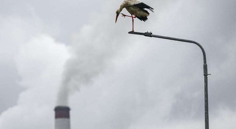 Európa ismét beröffentette a szénerőműveit a magas gázárak miatt