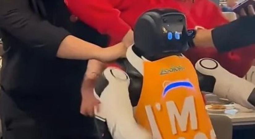 Robotlázadás: kikapcsolni sem tudták a robotot, ami bepörgött egy étteremben