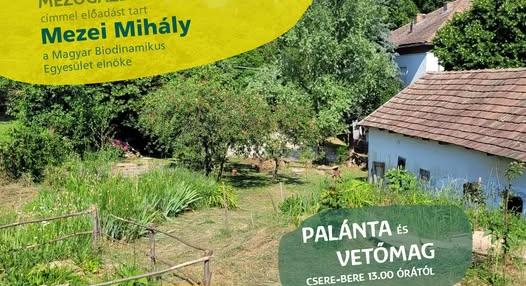 „Van fölös vetőmagod vagy palántád?” – Kertnap a bálványosi Világfa Waldorf Iskolában