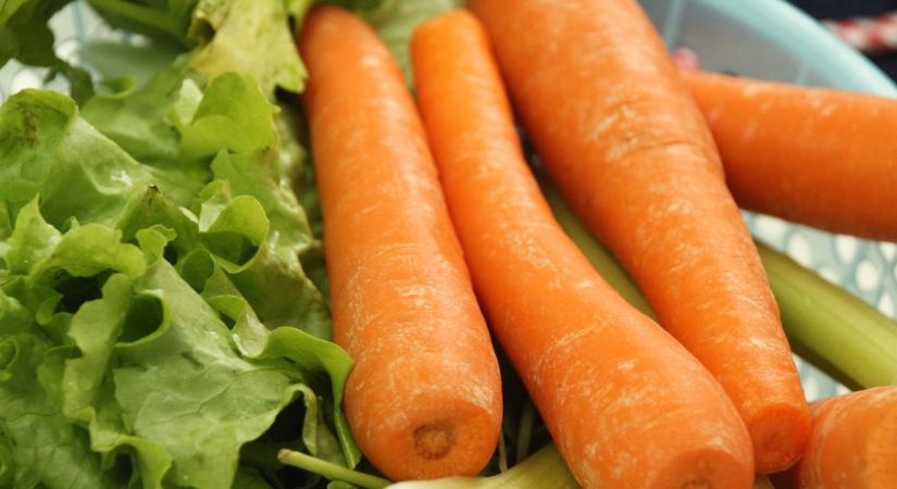 Sárgarépa: EU-s árrobbanást hozott az özönvíz