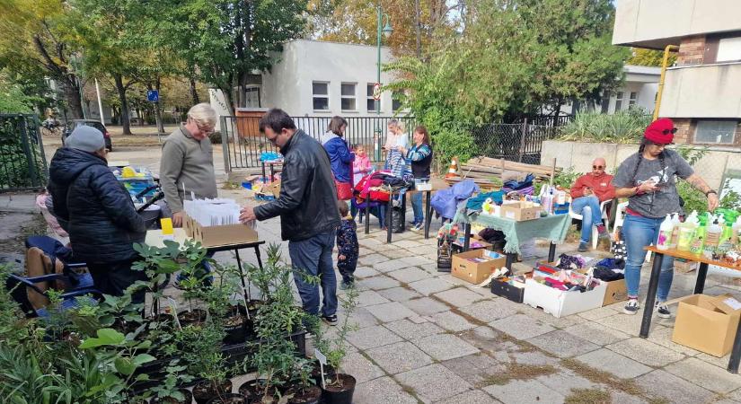 Zöld akció Szegeden: egy jó ügy, amihez most bárki csatlakozhat