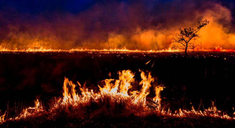 Szigorú tilalom lépett életbe Magyarországon: súlyos büntetés járhat annak, aki ezt figyelmen kívül hagyja