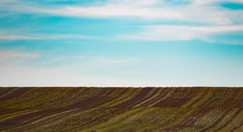 Országos monitoringhálózat támogatja a kártevők elleni védekezést