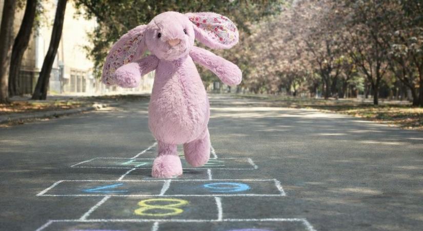 Több száz nyuszi foglalta el a somogyi alkotó otthonát