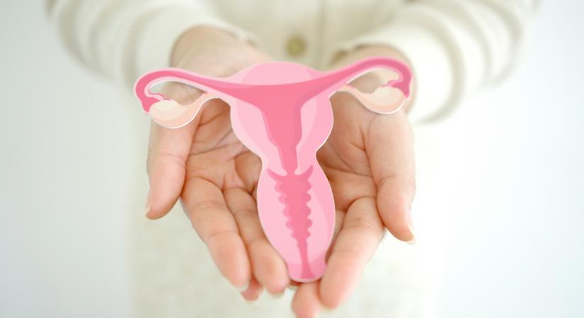 Endometriózis Világnapi konferencia Budapesten