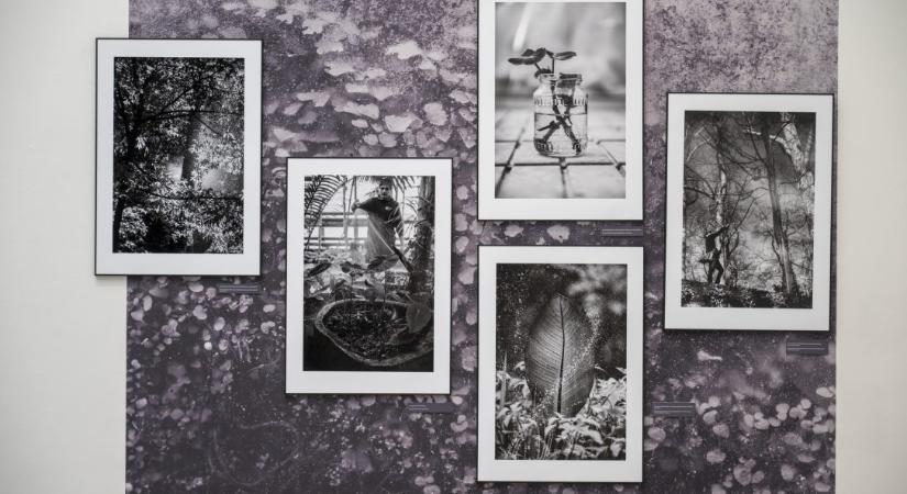 A vácrátóti botanikus kert titkos élete