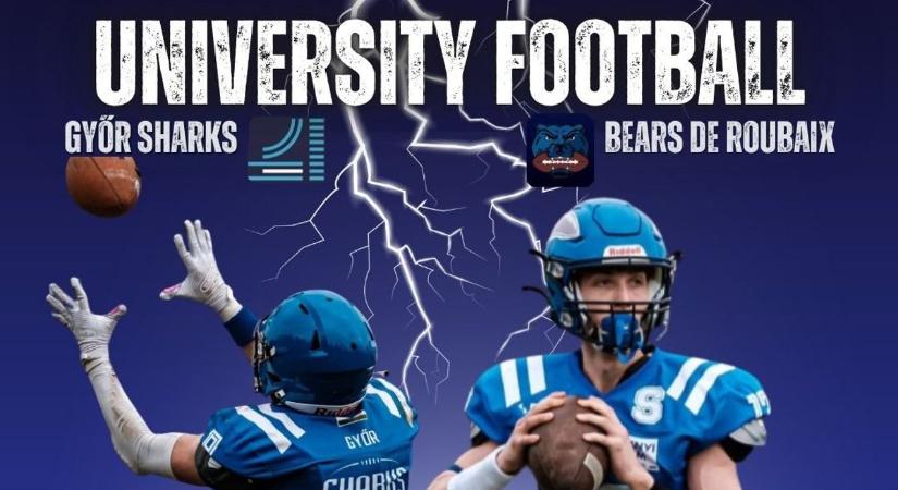 Franciaországba repülnek a győri cápák