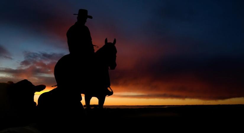 Ez a Netflix-western gyakorlatilag mindent visz