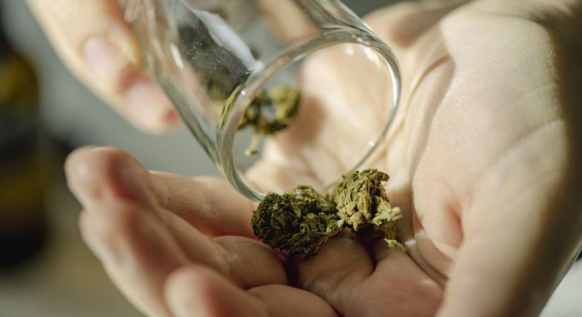 A kannabisz jelentheti a megoldást a világ leggyakoribb májbetegségére