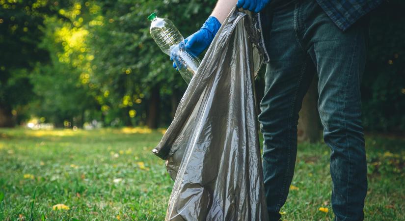 Több település fogott össze: nagyszabású Duna-part takarítás a térségben