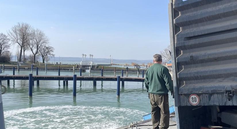 Elképesztő mennyiségű halat telepítettek a Balatonba