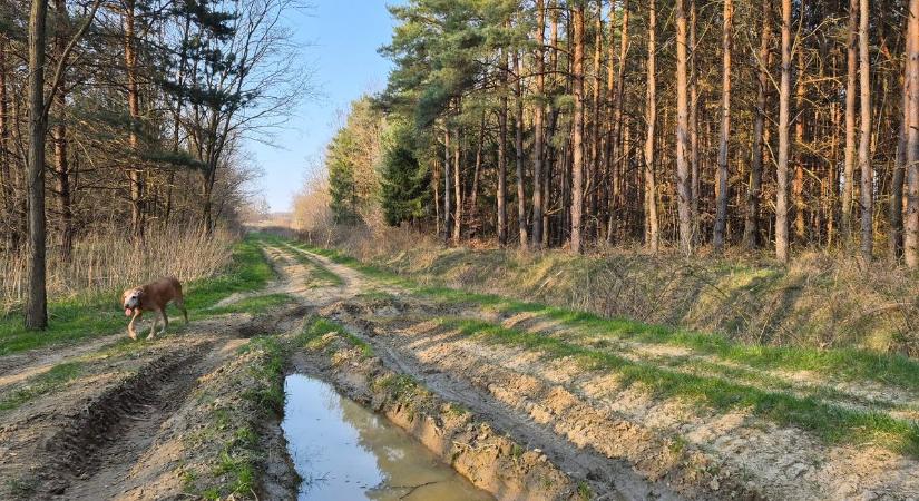 Sándor, József, Benedek valóban meleget hoz zsákjában?