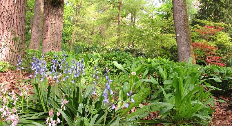 Március végi programajánló: túrák, bemutatók és természetközeli élmények várják a látogatókat