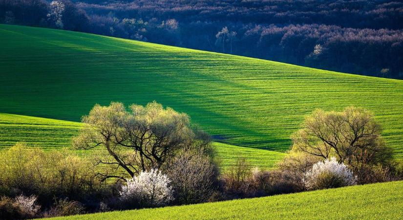 Kiszabadulna a négy fal közül? Túrák, termelői vásár és ingyenes koncertek várják Borsodban ezen a hétvégén