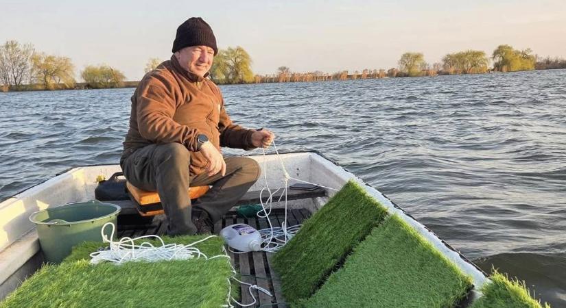 Miért tesznek műfűvel borított rácsokat a debreceni tóba? – fotókkal