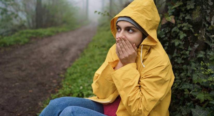 Ha ezt látod az erdőben, azonnal fordulj vissza: mindenkit érint ez a figyelmeztetés