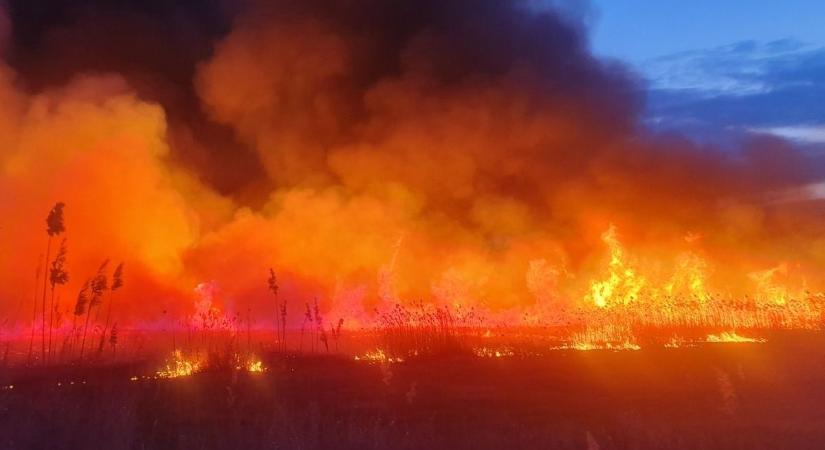 Újabb pusztító szabadtéri tűz: tucatnyi hektár vált már a lángok martalékává márciusban