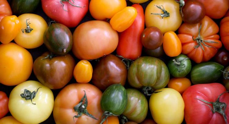 A különleges paradicsomok piaca továbbra is erős