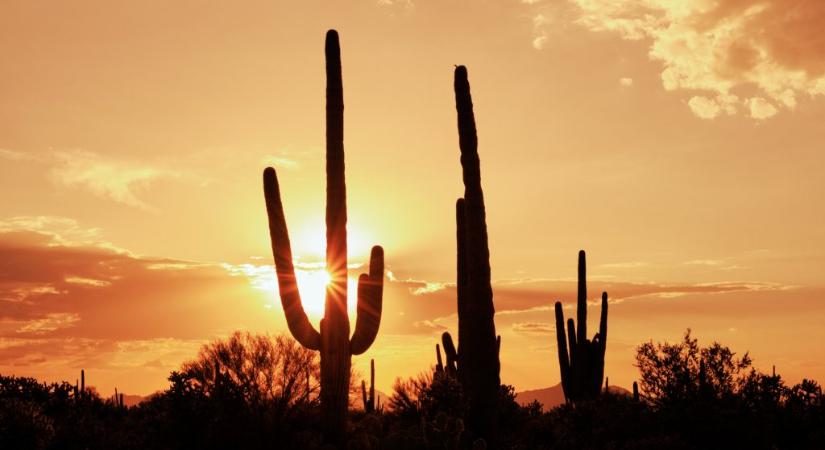 Brutális hőhullám csap le Amerikára: 35–40 fok is lehet a hétvégén