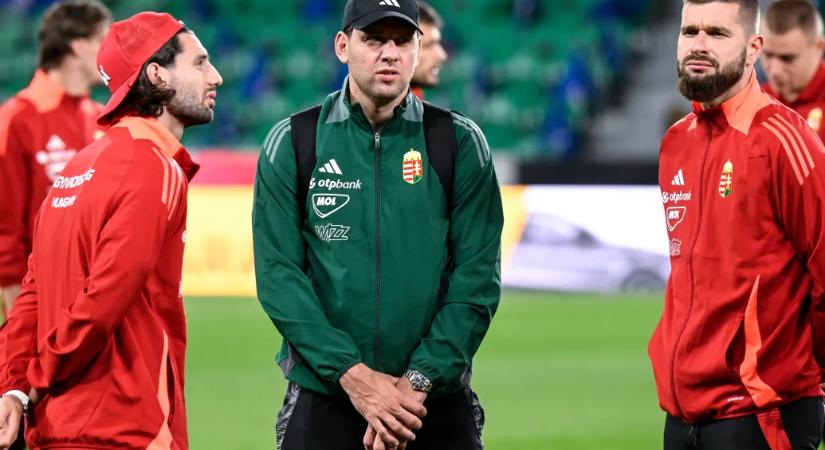 Az MLSZ alelnökévé választották Szalai Ádámot