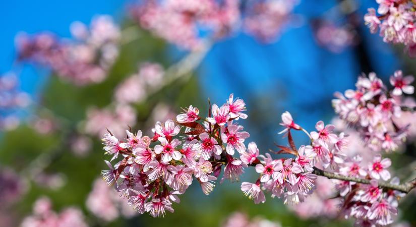 Kezdődik a csillagászati tavasz