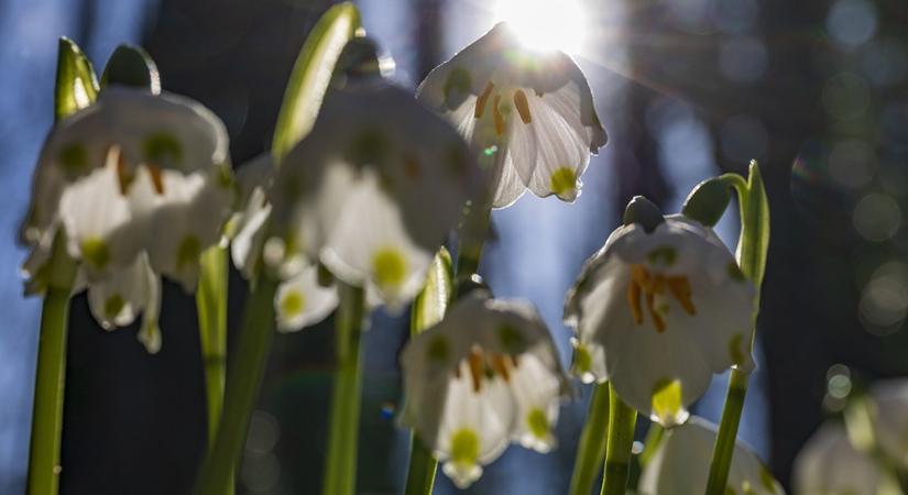 Ma végre beköszönt a csillagászati tavasz
