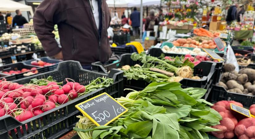 Megrohamozták a vevők a bonyhádi piacot: jövő héten már minden más lesz! (galéria)