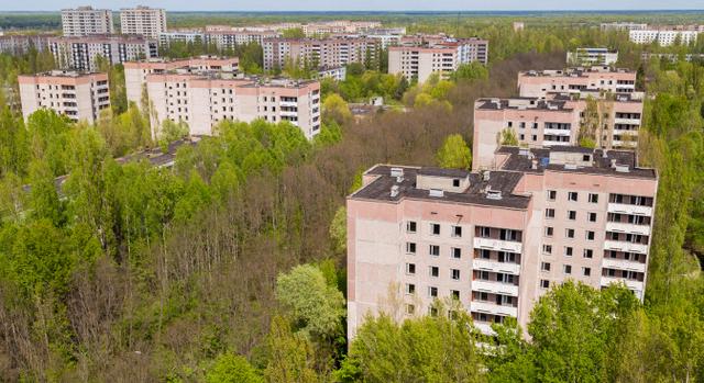 Egzotikus állat szabadult el a Havanna-lakótelepen: videón, ahogy próbálják befogni