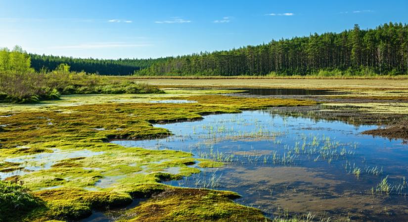 Jön az időjárási anomália, amely a mostani szélsőségekre is ráerősíthet