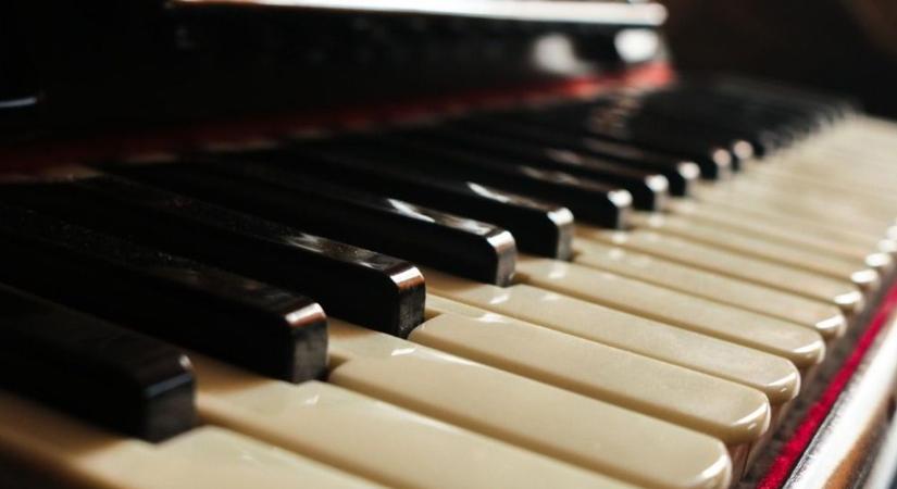 Jótékony koncert a farádi kultúrházban, Telekesi Tamás muzsikál