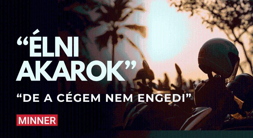 Csináltam magamnak egy állást. Magyar cégek elakadásai 2.