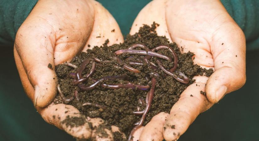 Nem csak por és sár: országos körkapcsolás mutatta meg a magyar föld rejtett arcát VIDEO