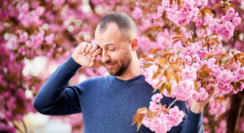 31 házi praktika a tavaszi allergia tüneteinek enyhítésére