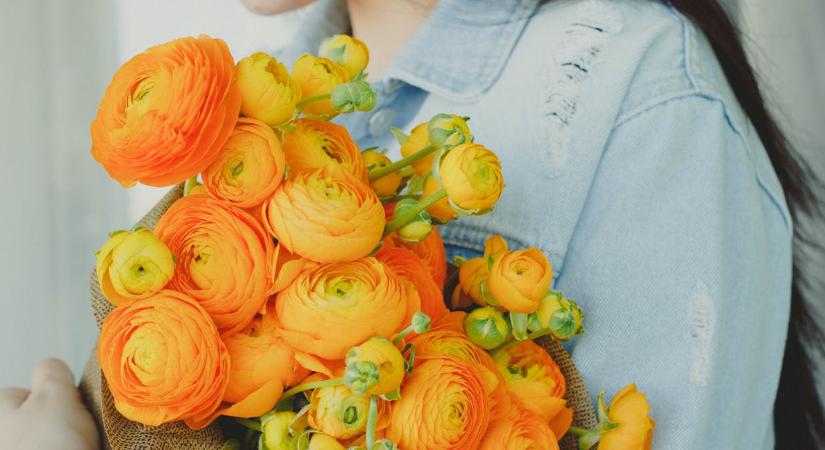 A saját kertjükbe ezt a 3 kedvelt növényt sosem ültetnék el a kertészek